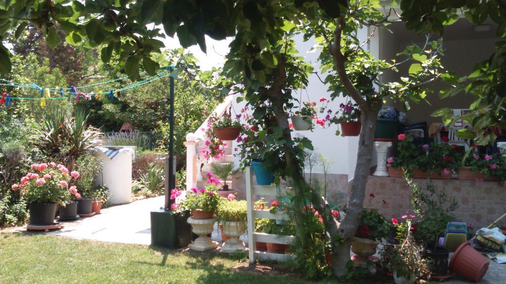 Apartments Romantica Sabunike Privlaka  Zewnętrze zdjęcie